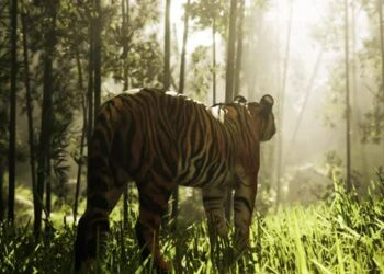 VideoHive In the Midst of a Bamboo Thicket a Colossal Bengal Tiger Stalks Its Quarry 47592490