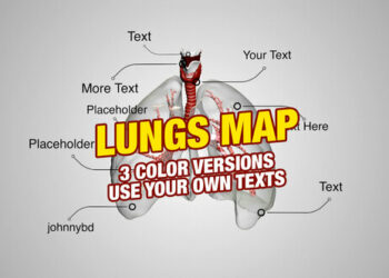 VideoHive Lungs Map 4K 31532621