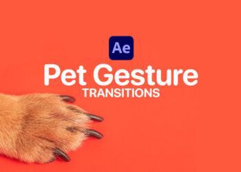 VideoHive Pet Gesture Transitions for After Effects 47367361
