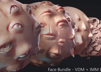 Artstation – Zbrush – Face IMM + VDM Bundle