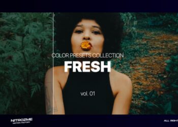 VideoHive Fresh LUT Collection Vol. 01 for Premiere Pro 47632773