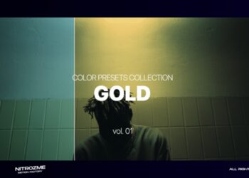 VideoHive Gold LUT Collection Vol. 01 for Premiere Pro 47632785