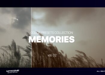 VideoHive Memories LUT Collection Vol. 02 for Premiere Pro 47632802