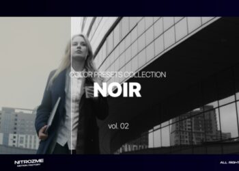 VideoHive Noir LUT Collection Vol. 02 for Premiere Pro 47632814