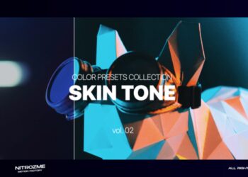 VideoHive Skin LUT Collection Vol. 02 for Premiere Pro 47632821