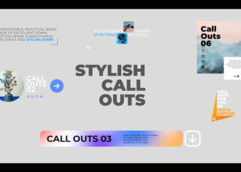 VideoHive Stylish Call Outs 46334543