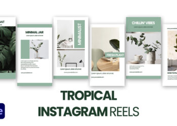 VideoHive Tropical Instagram Reels 47148520