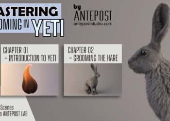 Gumroad - Antepost MASTERING GROOMING IN YETI