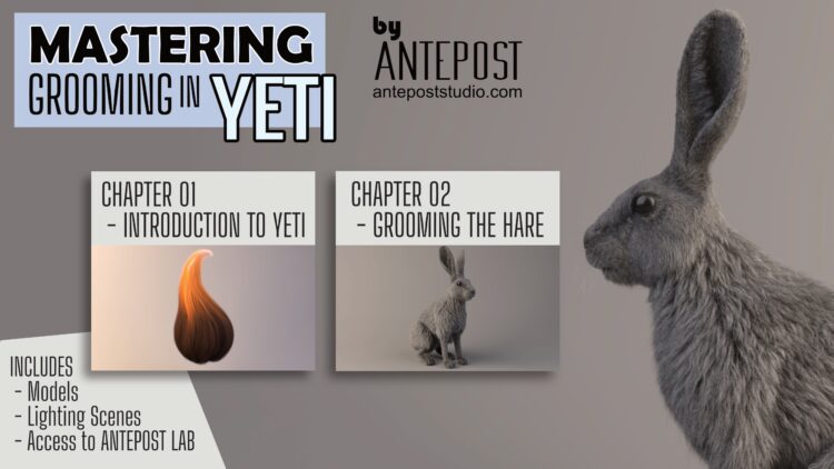 Gumroad - Antepost MASTERING GROOMING IN YETI