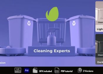 VideoHive Cleaning Experts 50393603