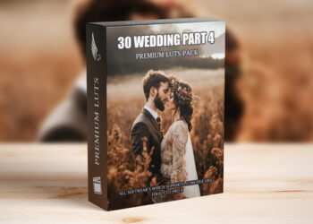 VideoHive Exclusive Wedding Video LUTs: Top 30 Cinematic Presets for Videography Experts 50042172