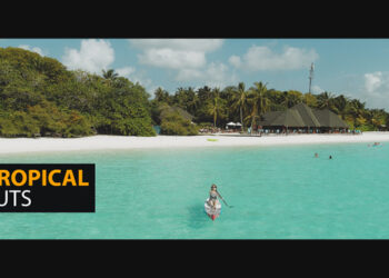 VideoHive Tropical Color LUTs 50040557