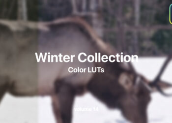 VideoHive Winter LUTs Collection Vol. 14 49984129