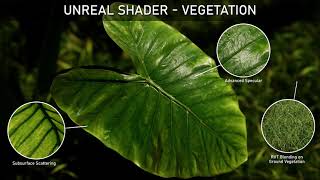Artstation - Unreal Shader Vegetation