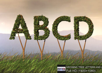 VideoHive Growing Tree Letters And Logo Pack 5148522