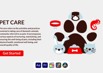 VideoHive Pet Care Design Concept 50691409