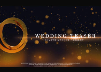 VideoHive Wedding Teaser 50683888