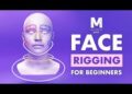 Flipped Normals - Face rigging for beginners