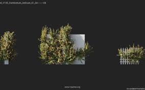 Maxtree - Plant Models Vol. 133