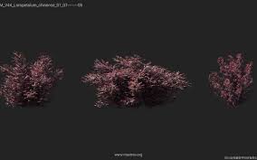 Maxtree - Plant Models Vol. 134