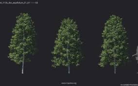 Maxtree - Plant Models Vol. 136