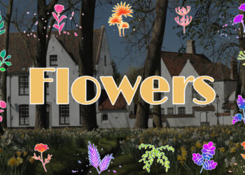 VideoHive Flowers Pack for DaVinci Resolve 48634910