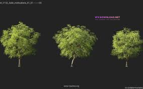 Maxtree - Plant Models Vol. 132