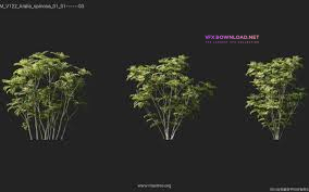 Maxtree - Plant Models Vol 122
