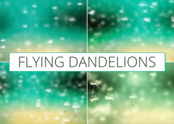 VideoHive Flying Dandelions for After Effects 52411210