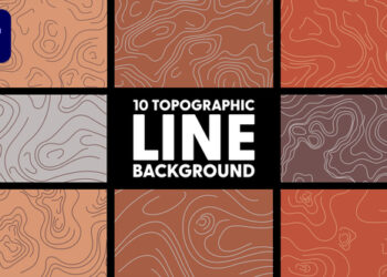VideoHive Topographic Line Background 50474412