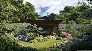 Maxtree - Plant Models Vol 35