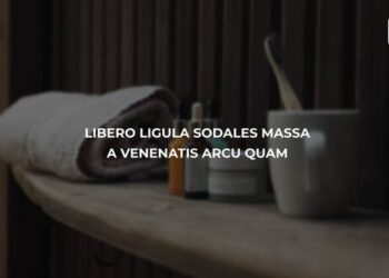 VideoHive Typography 1.6 52984841