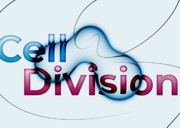 Aescripts Cell Division v1.3 (WIN+MAC)