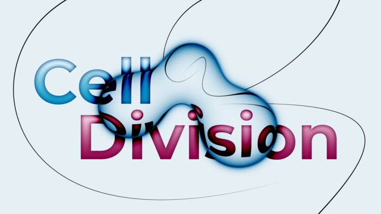Aescripts Cell Division v1.3 (WIN+MAC)
