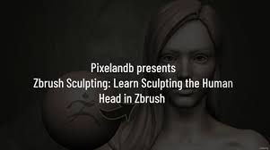 Zbrush Sculpting Learn Sculpting the Human Head in Zbrush