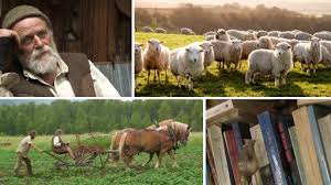 LinkedIn - Premiere Pro 2025 Essential Training