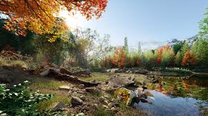 Globe Plants - Bundle 52 - North American Trees