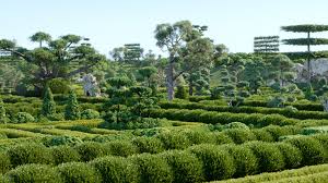 Globe Plants - Bundle 57 - Ornamental Plants & Hedge 02