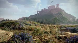 Globe Plants - Bundle 58 - Meadow Plants