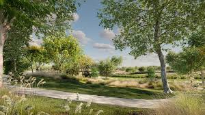 Globe Plants - Bundle 65 - Street Trees