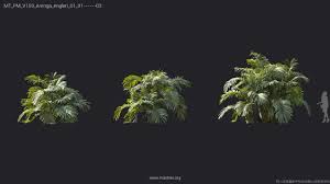 Maxtree - Plant Models Vol 159