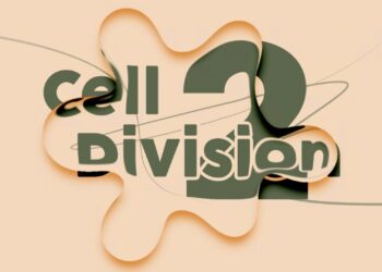 Aescripts Cell Division 2 v1.0.0 (WIN+MAC)