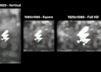 VideoHive Noir Logo Reveal 59329236