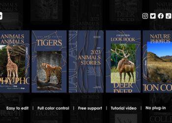 VideoHive Wild Animal Instagram Stories 48802499