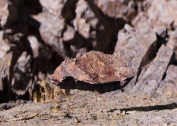 Master 3D Scanning The Pro Workflow - Blender, Maya & Unreal By PolyCG Studio