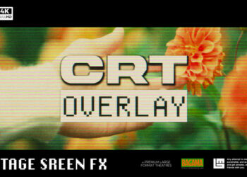 VideoHive Analog Screen Overlay 60447147