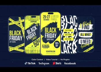 VideoHive Black Friday Instagram Stories 60587680