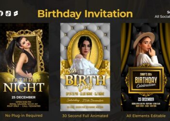 VideoHive Luxury Birthday Instagram Reels 48939119