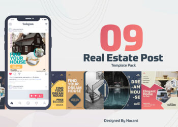 VideoHive Real Estate Post V1 45348893