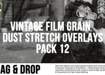 VideoHive Vintage Film Grain Dust & Stretch Overlays Pack Apple Motion 61437837